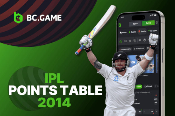 IPL Points Table 2014