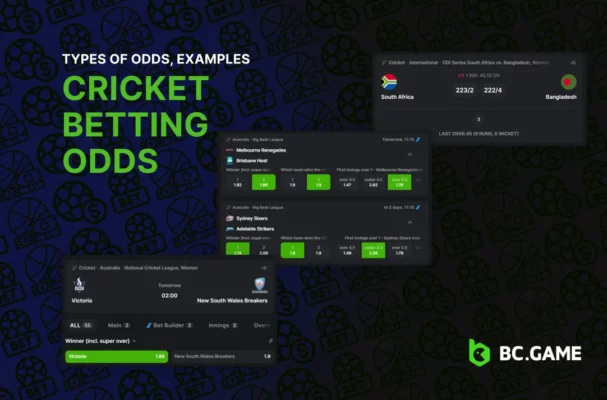 Cricket Betting Odds: Types of Odds, Examples