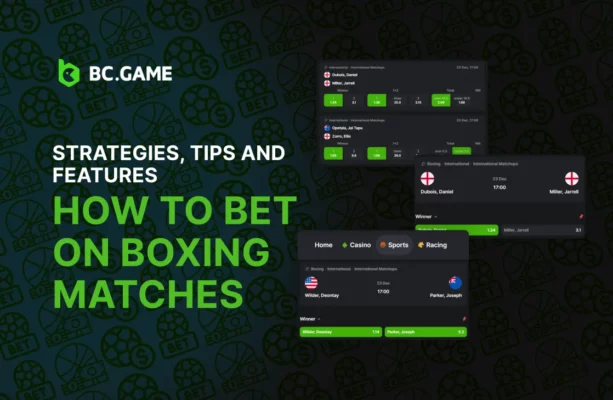How to Bet on Boxing Matches – Strategies, Tips and Features