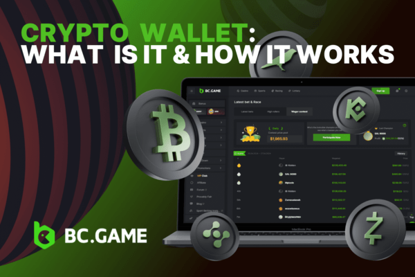 Crypto Wallet: What Is It & How It Works