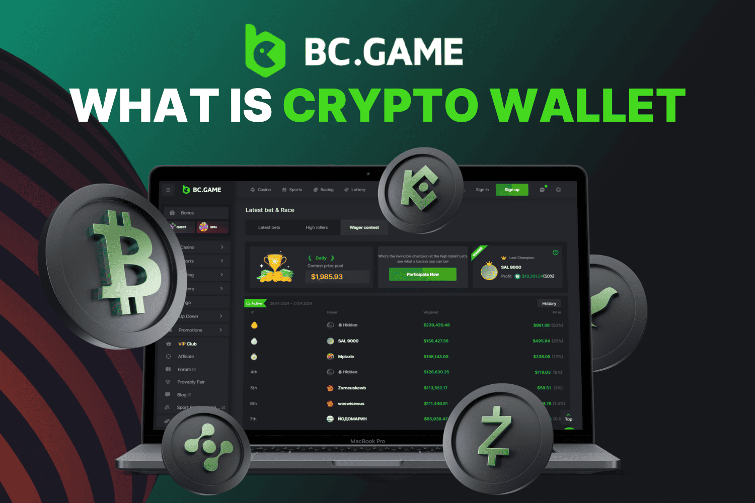 Crypto Wallet Guide for Beginners | BC.GAME