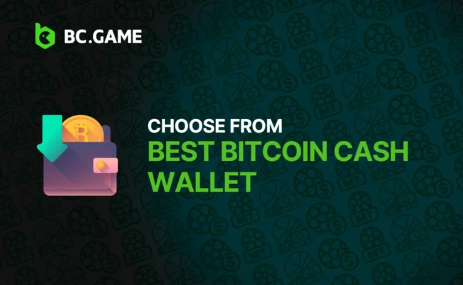 The Best Bitcoin Cash Wallet To Choose From