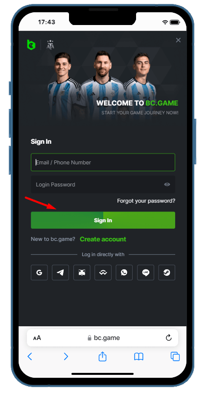 Access to your BC Game Account