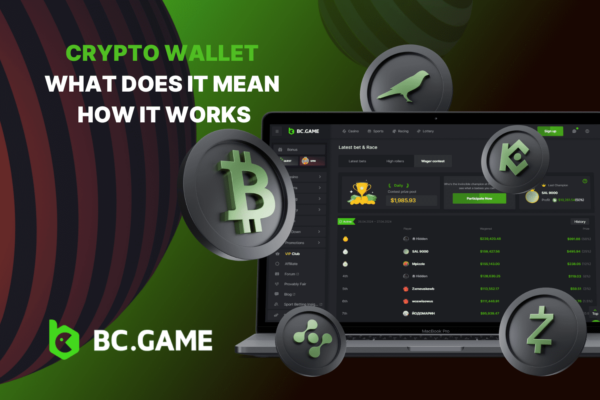 Crypto Wallet: What Does It Mean & How It Works