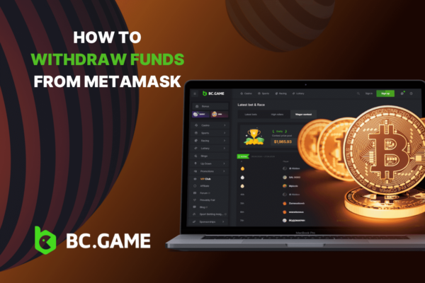 How to Withdraw Funds from MetaMask