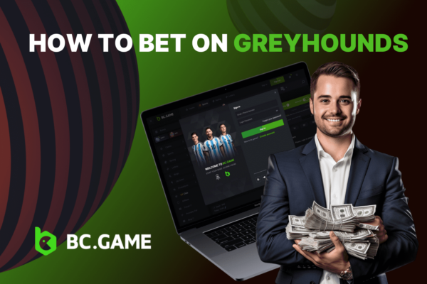 Betting on Dog Races: How to Bet on Greyhounds