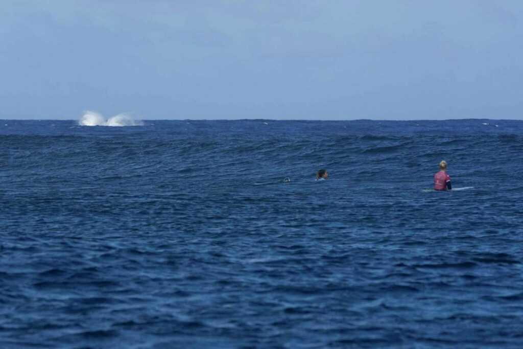 Giant whale interrupts Olympic surfing semi-final in Tahiti-2