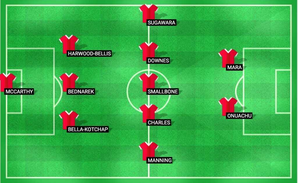 Predicted lineup for Southampton in the match against Newcastle United, Premier League 2024.