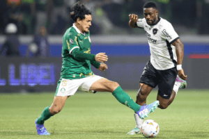 Botafogo Takes Down Palmeiras and Closes In on Brazilian Title