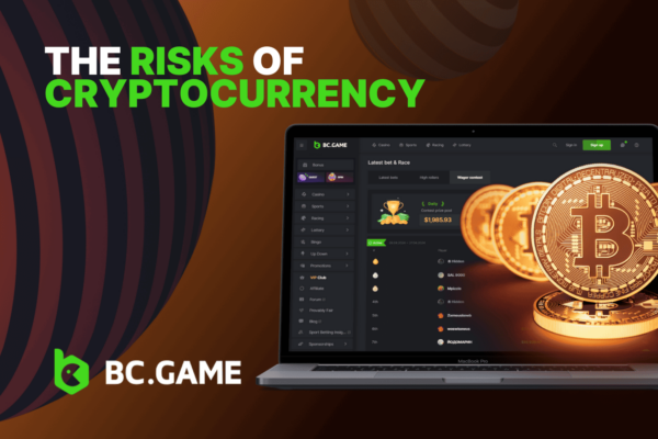 The Risks of Cryptocurrency