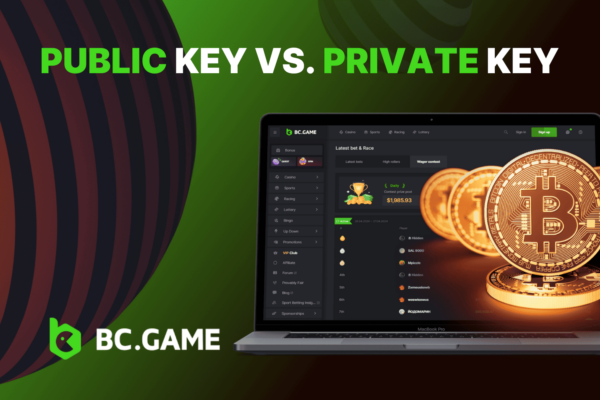 Public Key vs Private Key